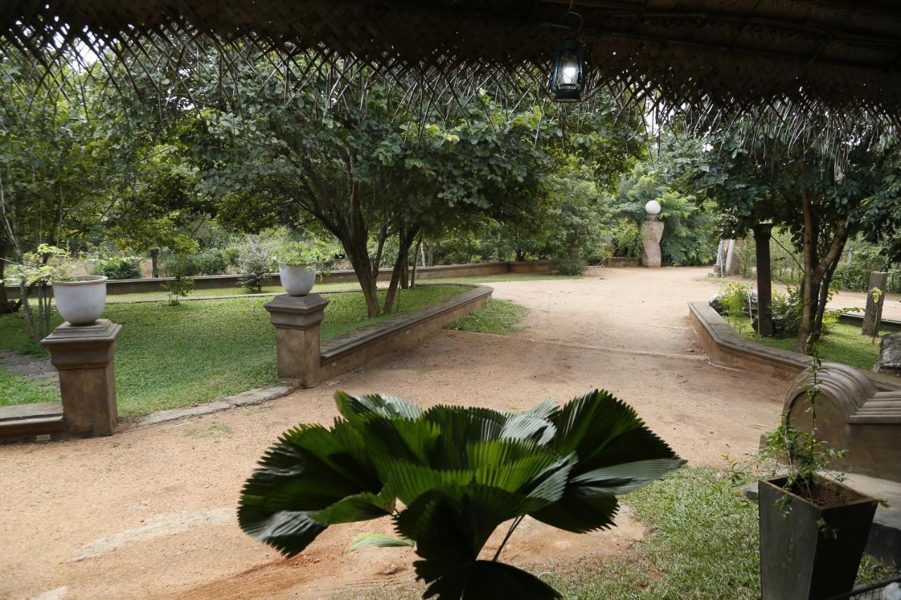 Hotel Wild Air Sigiriya Exterior foto