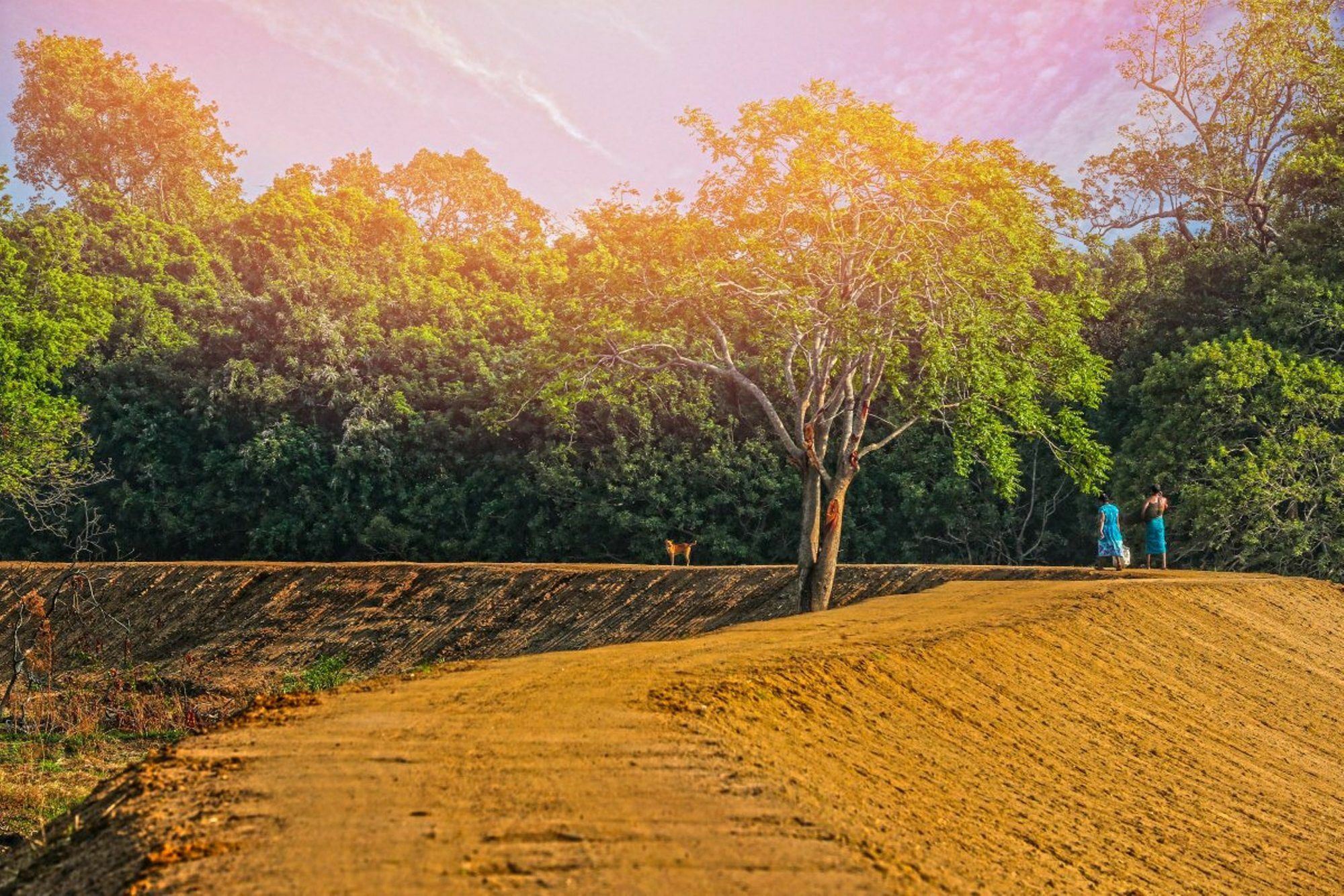 Hotel Wild Air Sigiriya Exterior foto